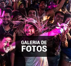 Link Galeria de Fotos